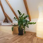 Maxov Apartamento