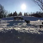 Maxov * Lučany nad Nisou